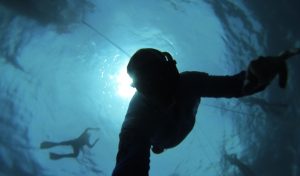 Freedive Port Douglas